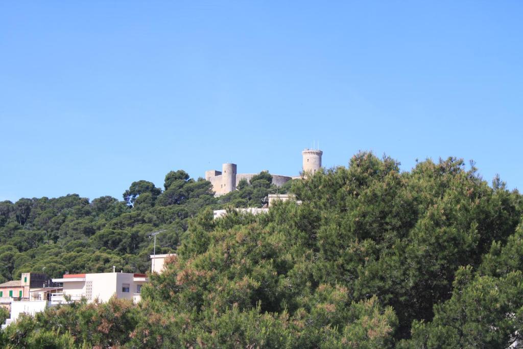 Hostal Pinar Palma de Mallorca Luaran gambar